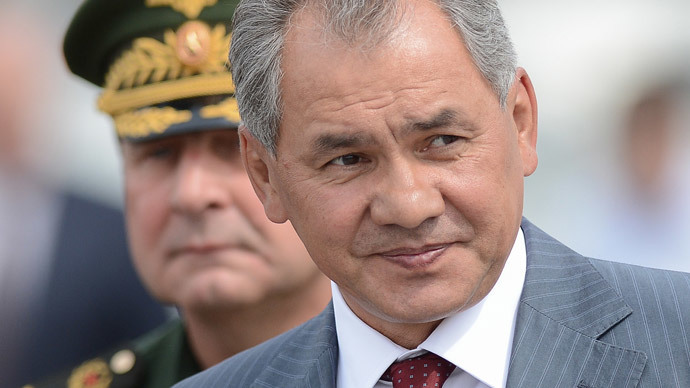 Defense Minister Sergei Shoigu (RIA Novosti / Ramil Sitdikov)