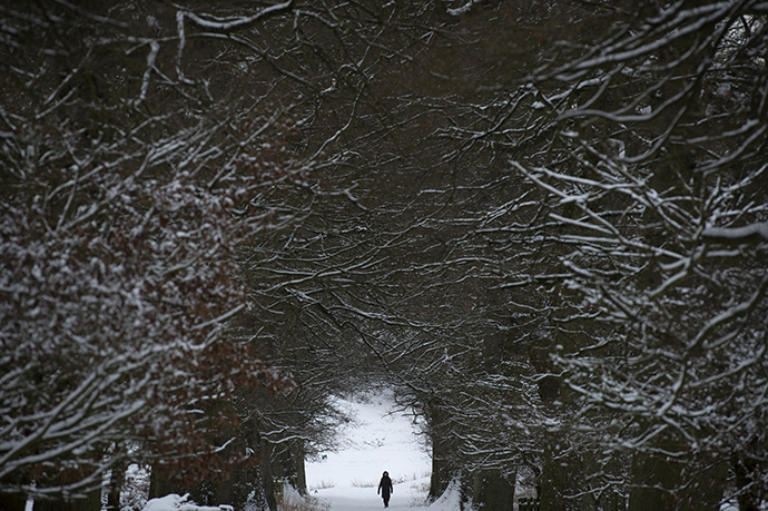 A walker passes under snow covered trees in Knole Park, Sevenoaks in Kent, southern England (AFP Photo / Beb Stansall)