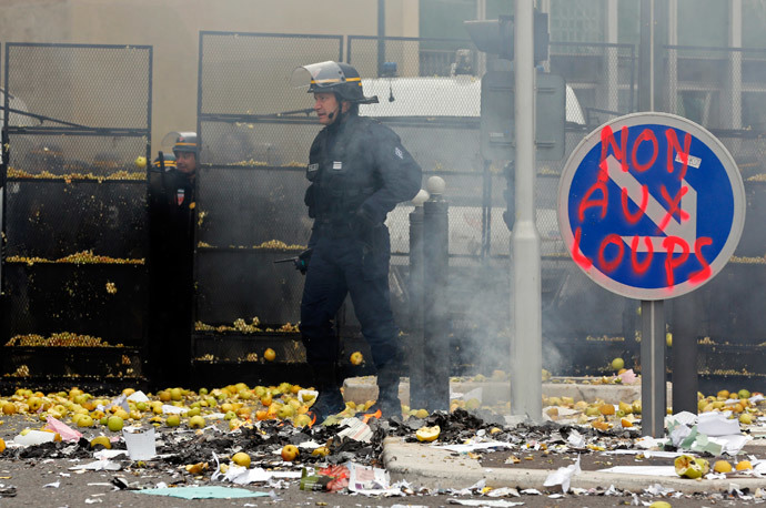 French police officer stands amongst apples thrown by French farmers during a demonstration in Marseille, November 5, 2014.(Reuters / Jean-Paul Pelissier)