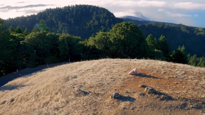 ‘drone Boning Worlds First Drone Porn Film Neither First Nor Porn