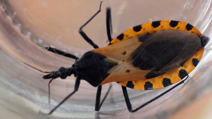 Blood-sucking ‘kissing bug’ sees 300k Americans infected with deadly disease