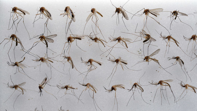 Human bloodlust learned over time by mosquitoes – study