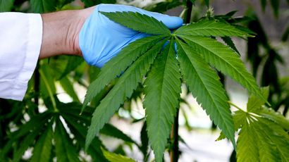 People pot power: Aussie state gives go-ahead to medicinal cannabis trial