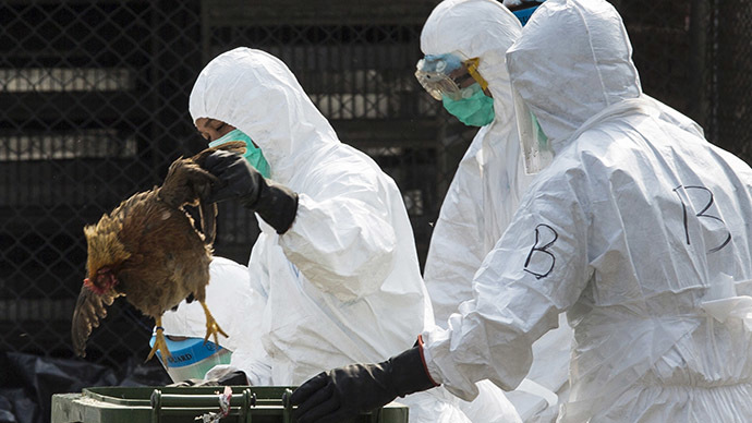 ​Dutch ban poultry transport over ‘highly pathogenic’ bird flu strain