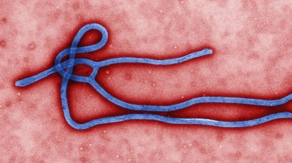 5.7k dead, 16k infected: Ebola toll rises in W. Africa amid 'stable' situation
