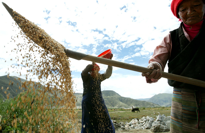 Tibetan women thresh barley in front of their house on the outskirts of Tsedang Town, Shannan Prefecture, in Tibet (Reuters)