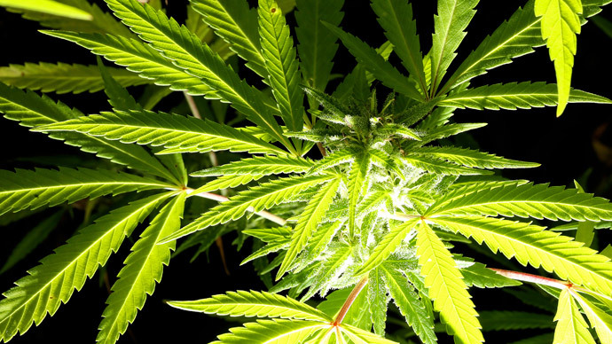 People pot power: Aussie state gives go-ahead to medicinal cannabis ...