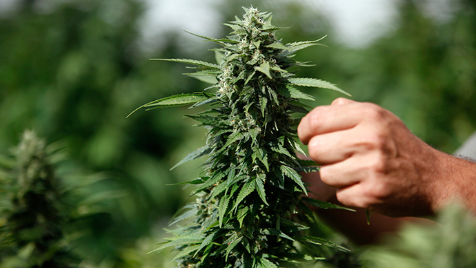 Federal govt to allow Native Americans to grow marijuana on tribal lands