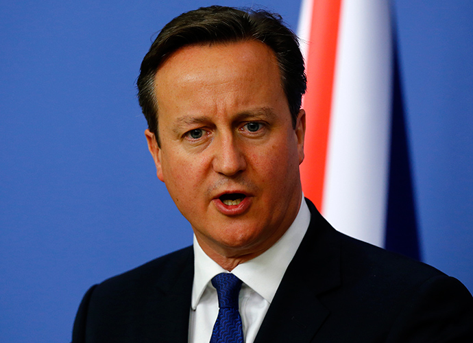 Britain's Prime Minister David Cameron (Reuters / Umit Bektas)