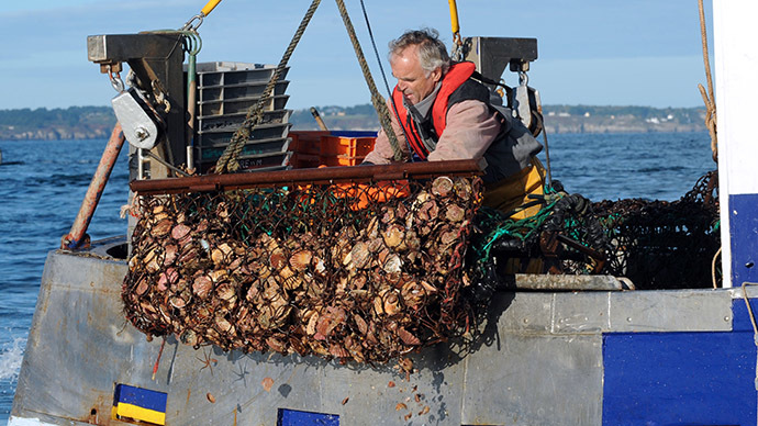 ​Tour de scallops: French sea products travel to China for cleaning, and then back