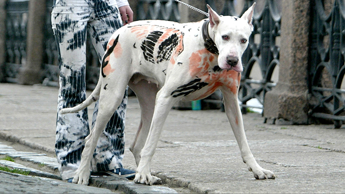 New York bans tattoos and piercings for pets