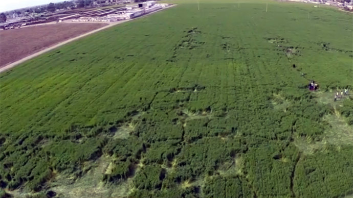 Chupakabra or drunk aliens? Mexico barley field boasts new mysterious crop patterns (VIDEO)