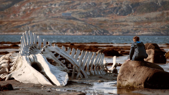 Photo from sonyclassics.com/leviathan