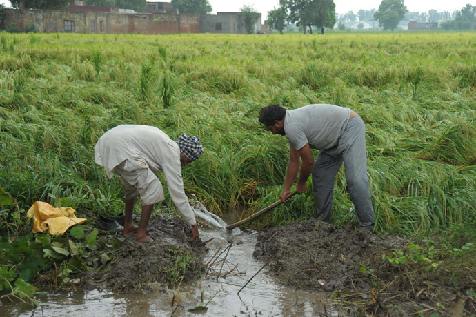 Indian farmers drain water from a flooded rice field (AFP Photo / Narinder Nanu)