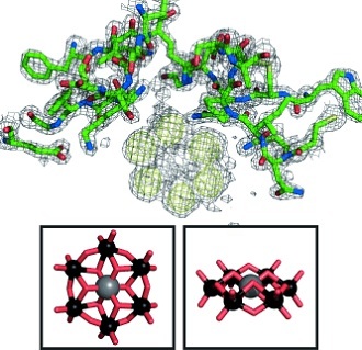 Anomalous difference map of HEWLâTEW structure. (ChemBioChem/Gregory Weiss)