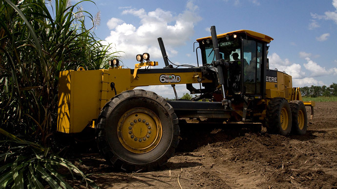 ‘Claims exaggerated’: Bioenergy challenges sustainable food future, study says