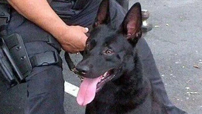 Police dog fired after doughnut shop attack