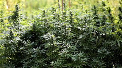 ‘I want my weed back!’ DC cops return man's seized pot