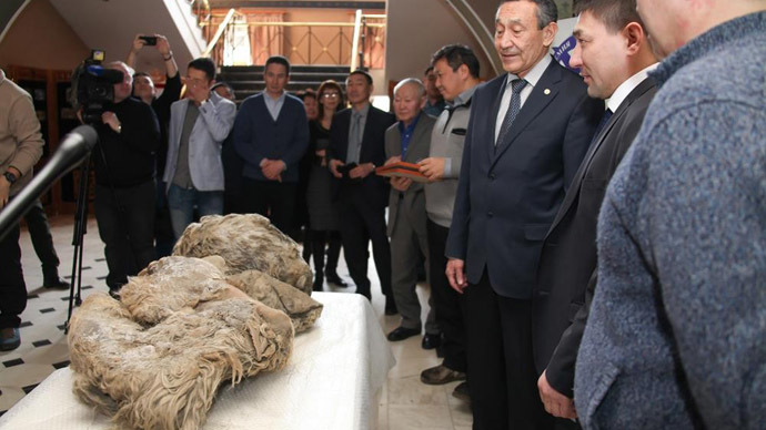 The finding was presented to the Russian Academy of Science of Sakha Republic (Image from www.ysia.ru)