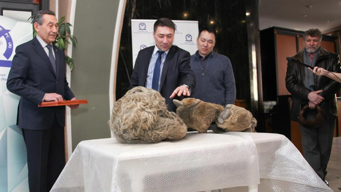 10,000yo ‘Sasha’: Hunters discover world’s 1st baby woolly rhino in Siberian permafrost