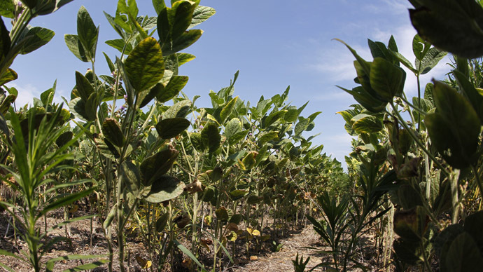 ​‘Values, not science’: British MPs attack EU anti-GM policy, demand power to regulate