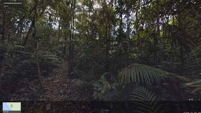 Brazilian rainforest now mapped on Google Street View zipwire cams