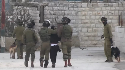 Video of Israeli soldiers using dogs against Palestinian boy sparks outcry