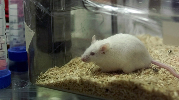 Alzheimer’s breakthrough? Scientists use ultrasound to restore memory in mice