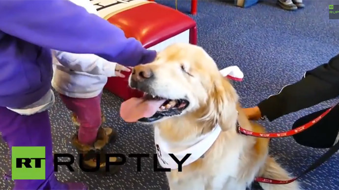 Blind golden retriever Smiley helps autistic kids to learn (VIDEO) — RT ...