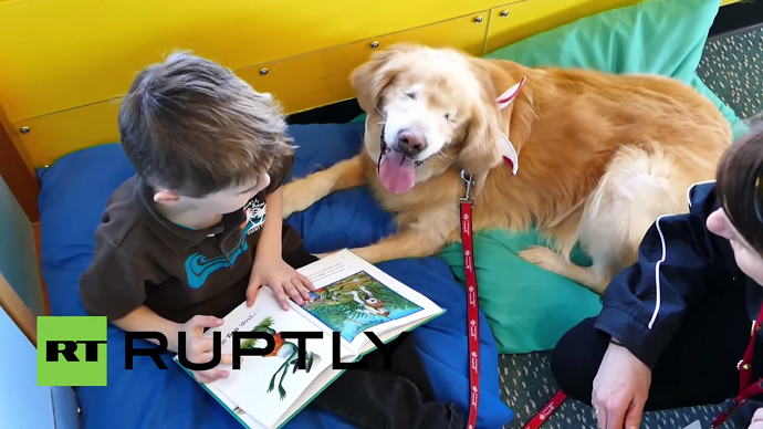 Blind golden retriever Smiley helps autistic kids to learn (VIDEO)