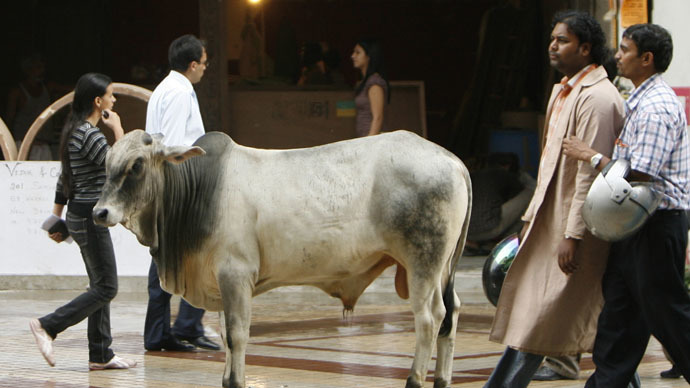 ‘Thou shall not indulge in steaks’: Indian state to hand out 3-yr jail terms for beef sales