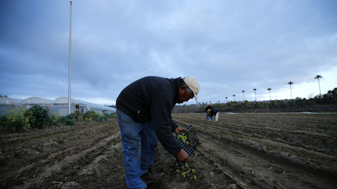 North California farmers ditching crops to sell water to south