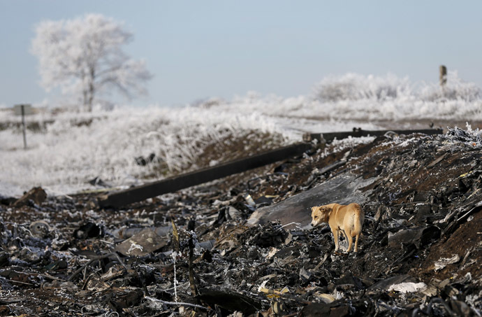 The site where MH17, a Malaysia Airlines Boeing 777 plane, crashed near the village of Hrabove (Grabovo) in Donetsk region, December 15, 2014. (Reuters / Maxim Shemetov)