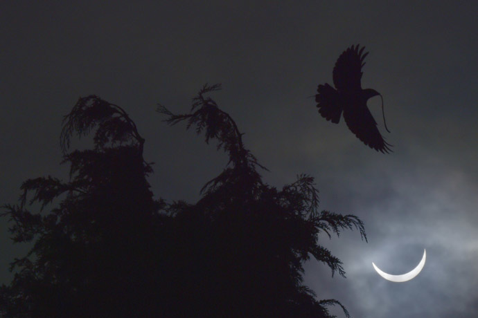 A bird carries a twig as it flies, with a partial solar eclipse seen behind, near Bridgwater, in south western England, March 20, 2015. Reuters / Toby Melville