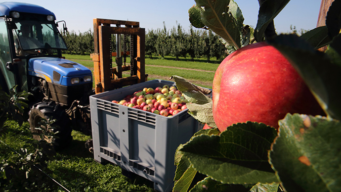 FDA approves GMO apples, potatoes that don’t bruise or brown as being safe to eat