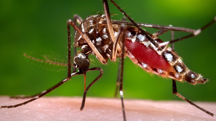 UK experts fear climate change could usher in disease-carrying mosquitoes