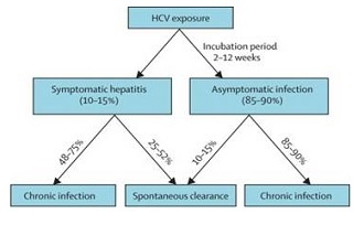 Outcome of Hepatitis C virus infection (Centers for Medicare & Medicaid Services/Maheshwari et al. 2011)