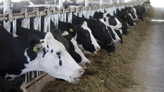 Use of antibiotics in cattle feed leads to airborne antibiotic-resistant bacteria – study
