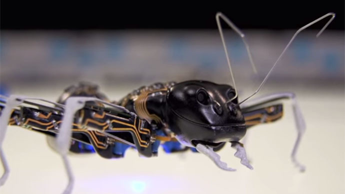 Insects, lizard tongue inspire robots of the future