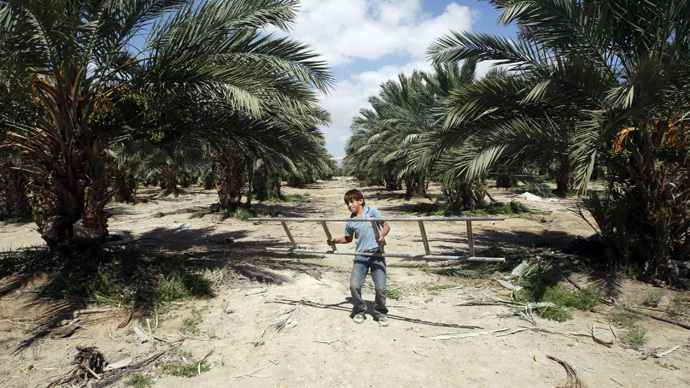 ‘Grueling & hazardous’: HRW exposes Palestinian child abuse in Israeli settler farms