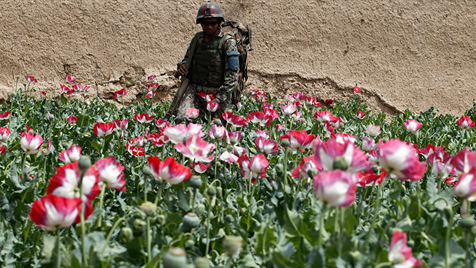 30% of Afghan security forces involved in drug trade – Russian narcotics watchdog