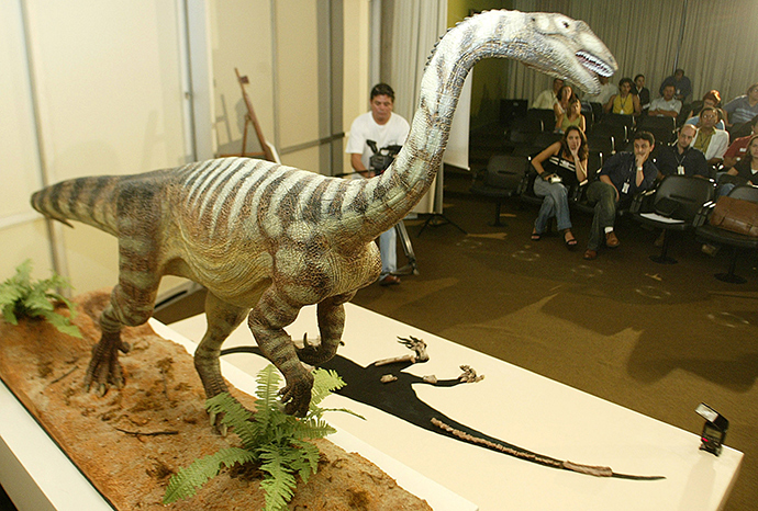 A model of the herbivore dinosaur called the Unaysaurus tolentinoi (Reuters / Bruno Domingos)