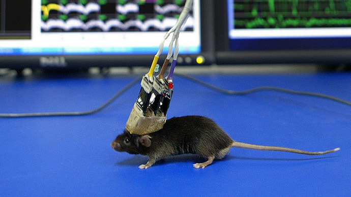 ​Hunger games: Scientists manipulate gluttony & food cravings in mice