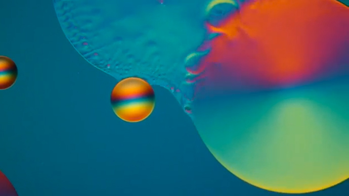 Dazzling photomicrography revealed in Nikon’s annual contest (VIDEO)