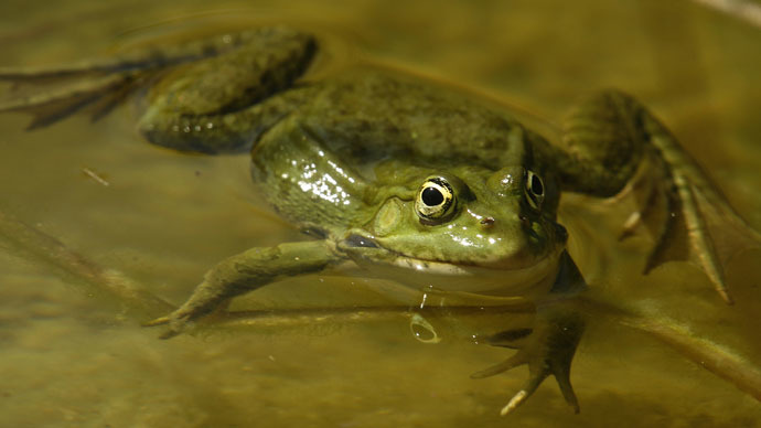 16% of Earth’s species at risk of extinction due to climate change – report