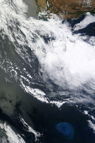 Example of an ocean eddy (not from the study) as seen from space (Credit: NASA Earth Observatory)