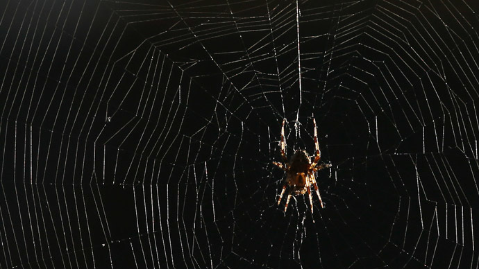 Watch out Peter Parker! Spiders spin graphene ‘super silk’ in Italian lab