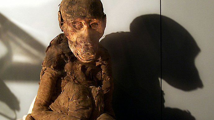 Missing mummies: Hundreds of ancient Egyptian animals remains prove to be empty inside