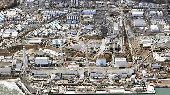 TEPCO must focus on long-term radioactive Fukushima waste management – watchdog