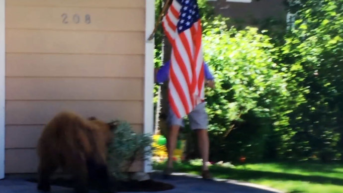 Bear scare: Man, animal run into each other… and flee in opposite directions (VIDEO)
